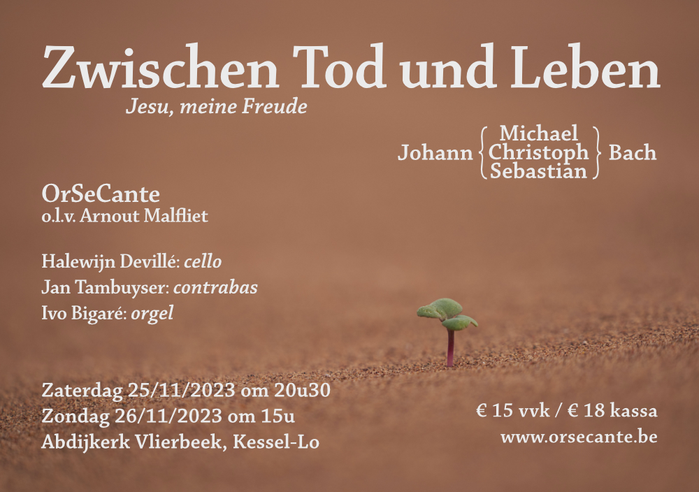 Flyer Zwischen Tod und Leben